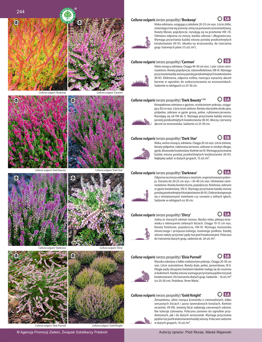 Katalog roślin 2024. Drzewa, krzewy, byliny